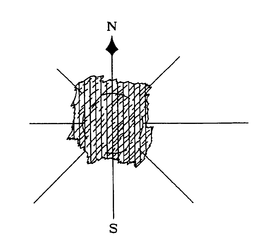 N S trademark