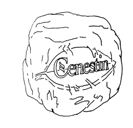 CENESTIN trademark