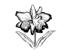 LogoMark trademark