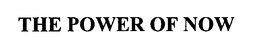 THE POWER OF NOW trademark