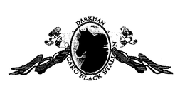 DARKHAN CHACARO BLACK STALLION trademark