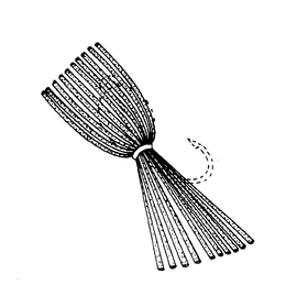 FISHING LURE trademark