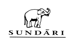 SUNDARI trademark