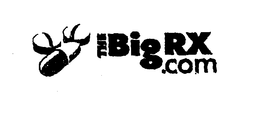 THE BIGRX.COM trademark
