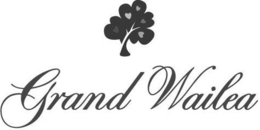 GRAND WAILEA trademark