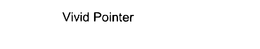 VIVID POINTER trademark