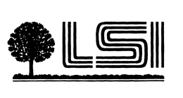 LSI trademark