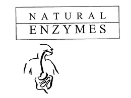 NATURAL ENZYMES trademark