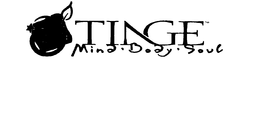TINGE MIND BODY SOUL trademark
