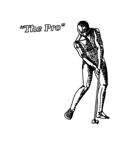 THE PRO' trademark