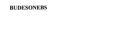 BUDESONEBS trademark