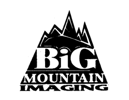 BIG MOUNTAIN IMAGING trademark