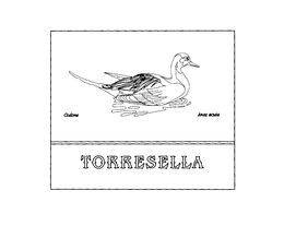 TORRESELLA CODONE ANAS ACUTA trademark
