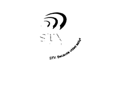 STV STREAMING MEDIA - BECAUSE VIDEO SELLS trademark