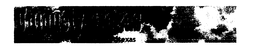 UNIQUELY TEXAS trademark
