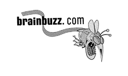 BRAINBUZZ.COM trademark