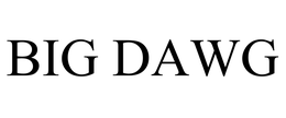BIG DAWG trademark