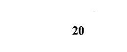 20 trademark