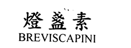 BREVISCAPINI trademark