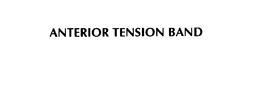 ANTERIOR TENSION BAND trademark