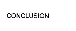 CONCLUSION trademark