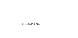 BLOOMING trademark