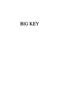BIG KEY trademark