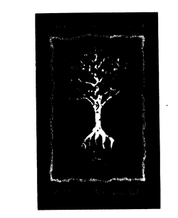 ASPEN TEA COMPANY trademark