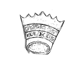 FLEXUS trademark