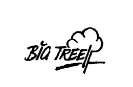 BIG TREE trademark