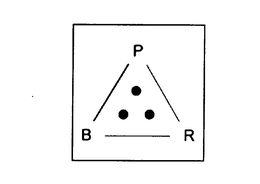 PBR trademark