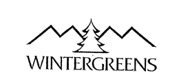 WINTERGREENS trademark