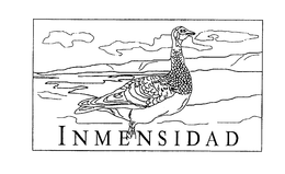 INMENSIDAD trademark