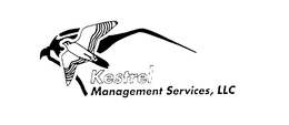 KESTREL MANAGEMENT SERVICES, LLC trademark