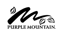 PURPLE MOUNTAIN trademark