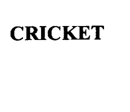 CRICKET trademark