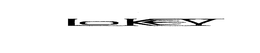 LOKEY trademark