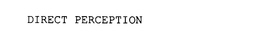 DIRECT PERCEPTION trademark