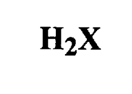 H2X trademark