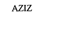 AZIZ trademark