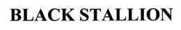 BLACK STALLION trademark