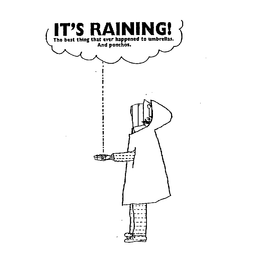 IT'S RAINING! THE BEST THING THAT EVER HAPPENED TO UMBRELLAS. AND PONCHOS trademark
