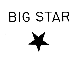 BIG STAR trademark