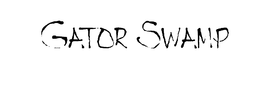 GATOR SWAMP trademark