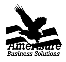 AMERISURE BUSINESS SOLUTIONS trademark