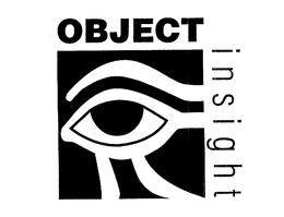 OBJECT INSIGHT trademark