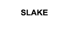 SLAKE trademark