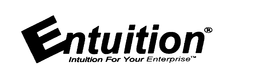 ENTUITION INTUITION FOR YOUR ENTERPRISE trademark