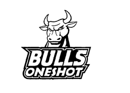 BULLS ONESHOT trademark