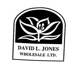 DAVID L. JONES WHOLESALE LTD. trademark